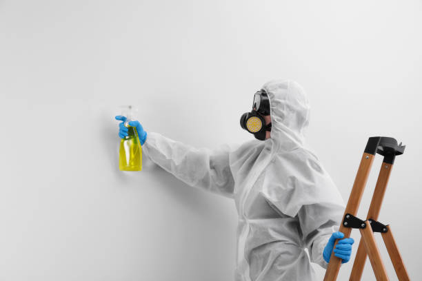 Best Mold Prevention Services  in USA